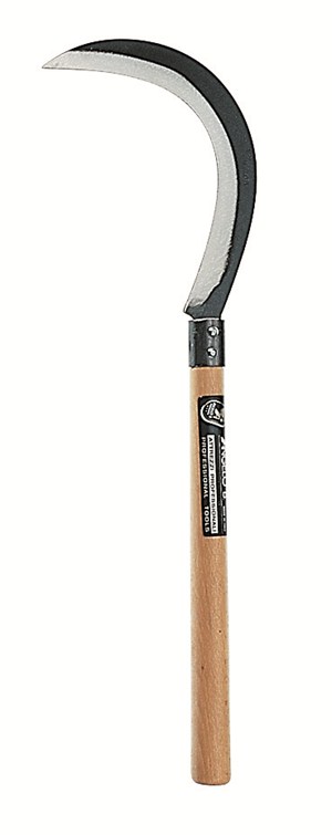 RONCOLA BIETOLA C/MANICO LEGNO CM.25