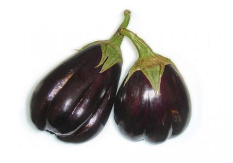 MELANZANA SCIACCHITANA 6F
