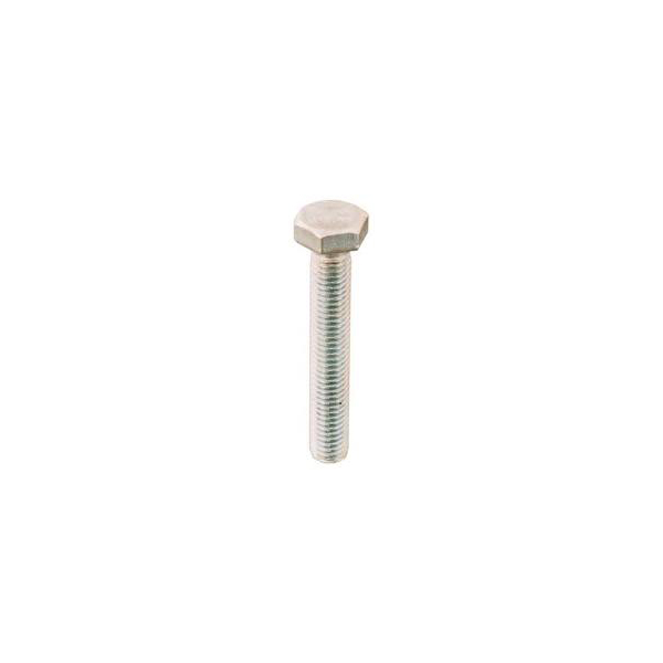 BULLONE INOX T.E.5X40