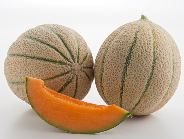 BUSTA ORTO MELONE CANTALUPO