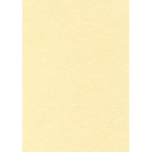 CARTA PERGAMENA