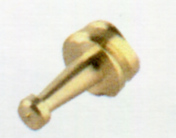 ELICHETTA PIEMONTE