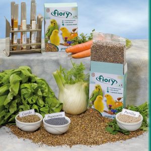 FIORY GRANI SALUTE GR.300