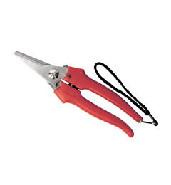 FORBICI COGLIUVA CM.19 STD