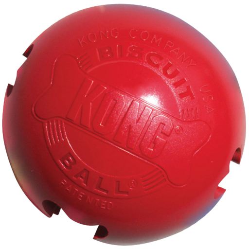 GIOCO PER CANE PALLA CON PORTA-BISCOTTI