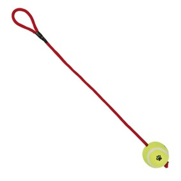 GIOCO PER CANE PALLA TENNIS CON CORDA
