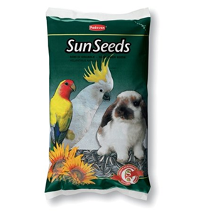 GIRASOLE MEDIO GR.500 SUNSEEDS