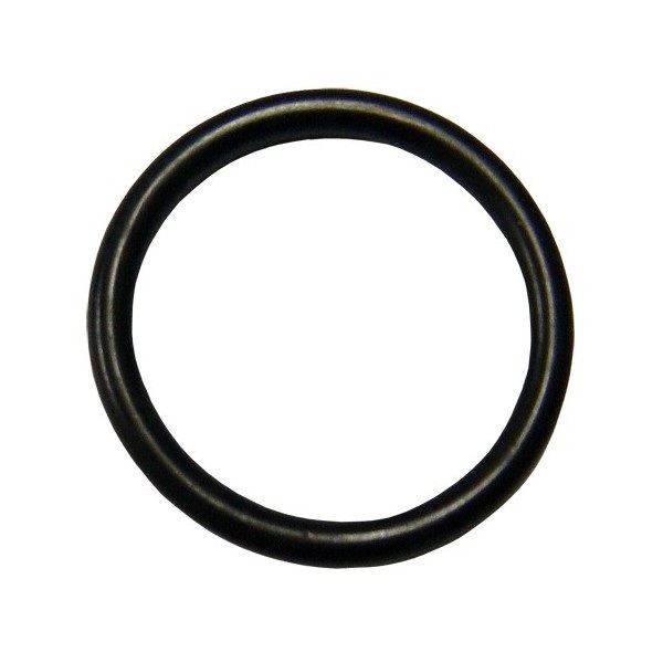 GUARNIZIONE O-RING MM.4
