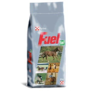 HORSE SELECTION RIDER KG.25