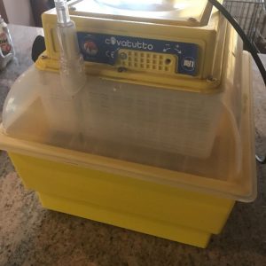 INCUBATRICE PLASTICA 24 UOVA 140 WATT