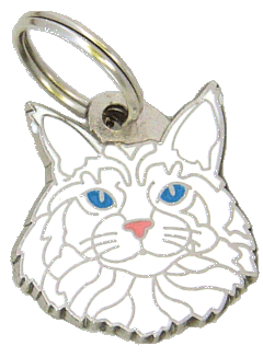 MEDAGLIETTA SILVER TABBY MAINE MF39