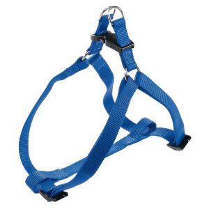 PETTORINA EASY BLU CM.2,5X70