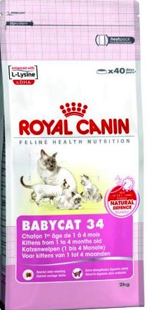 ROYAL CAT BABYCAT KG.2