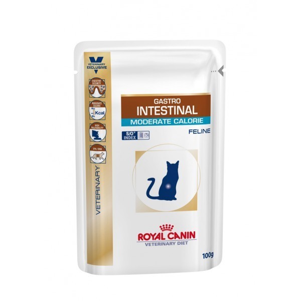 ROYAL CAT INTESTINAL GR.100