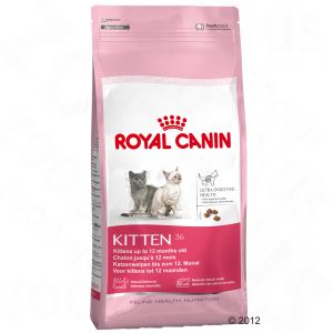 ROYAL CAT KITTEN KG.2