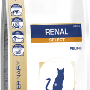 ROYAL CAT RENAL GR.500