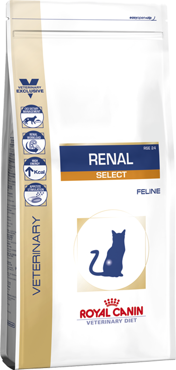 ROYAL CAT RENAL GR.500