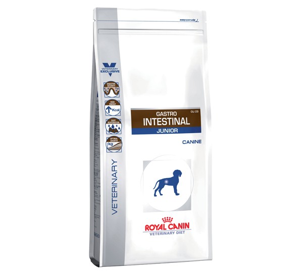 ROYAL DOG JUNIOR INTESTINAL KG.2,5