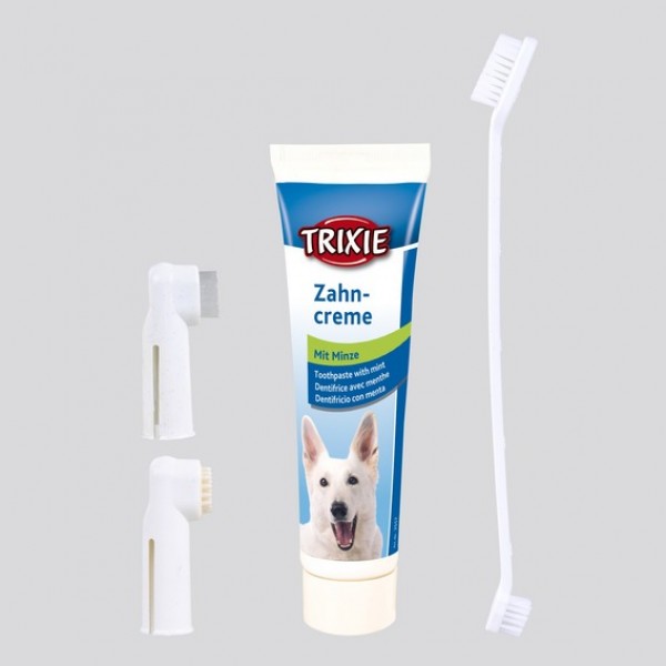 SET P/CURA DENTI CANE