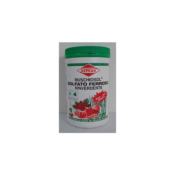 SOLFATO FERROSO KG.1