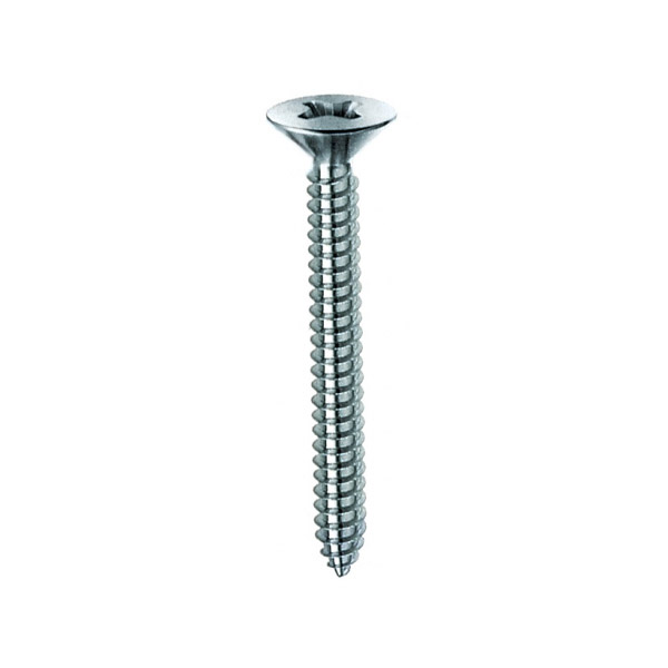 VITE PARKER MM.4,8X50 TC.