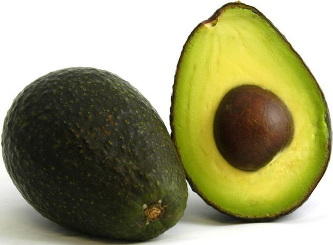 AVOCADO VASO 24