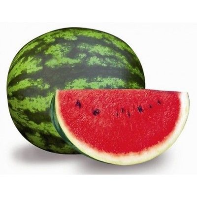 BUSTA ORTO ANGURIA CRIMSON SWEET