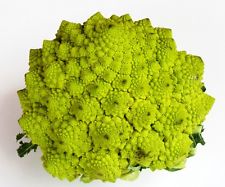 BUSTA ORTO CAVOLFIORE ROMANESCO NATALINO