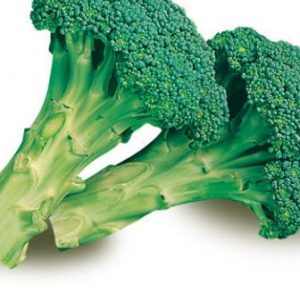 BUSTA ORTO CAVOLO BROCCOLO CALABRESE