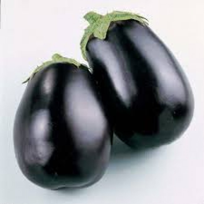 BUSTA ORTO MELANZANA BLACK BEAUTY