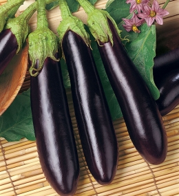 BUSTA ORTO MELANZANA VIOLETTA LUNGA2