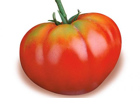 BUSTA ORTO POMODORO CUOR DI BUE