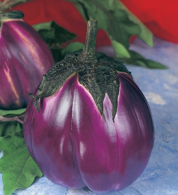 BUSTA ORTO PRO MELANZANA VIOLETTA FIRENZE