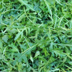 BUSTA ORTO RUCOLA SELVATICA