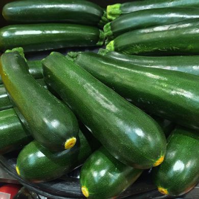 BUSTA ORTO ZUCCHINO VERDE MILANO
