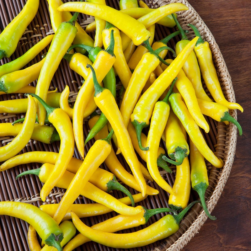 BUSTA ORTO PEPERONCINO HUNGARIAN GIALLO