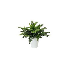 FELCE VASO 20 BK