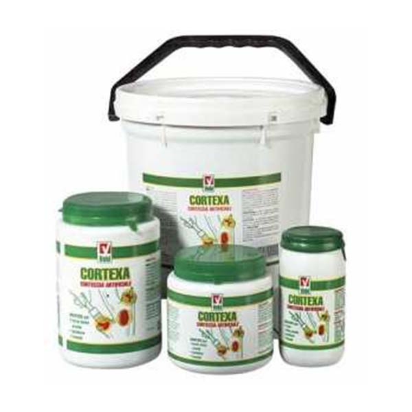 CORTEXA MASTICE KG.1