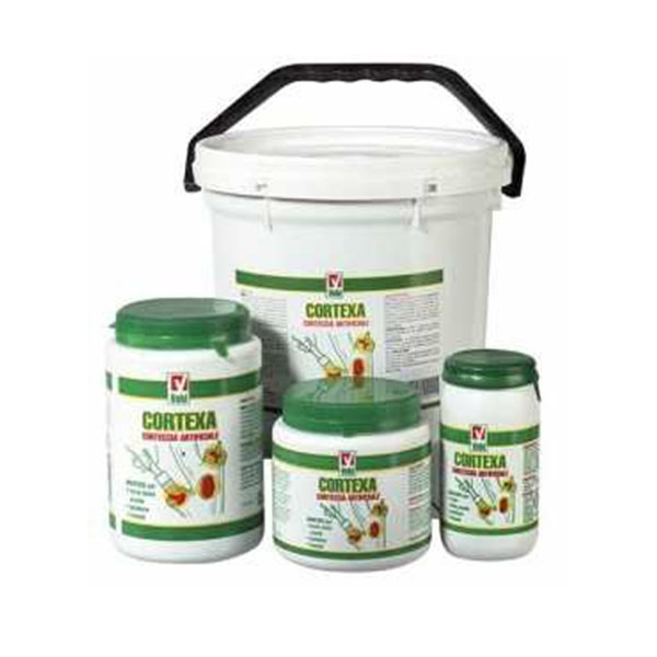 CORTEXA MASTICE GR.250